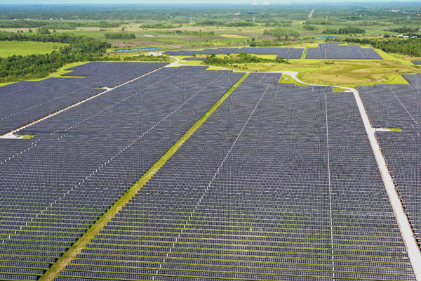 Arial view of solar panels in a green field