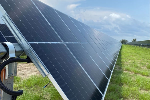 Blue solar panels in a grassy field