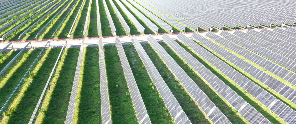 Taylor Creek Solar site located in Osceola County, Florida